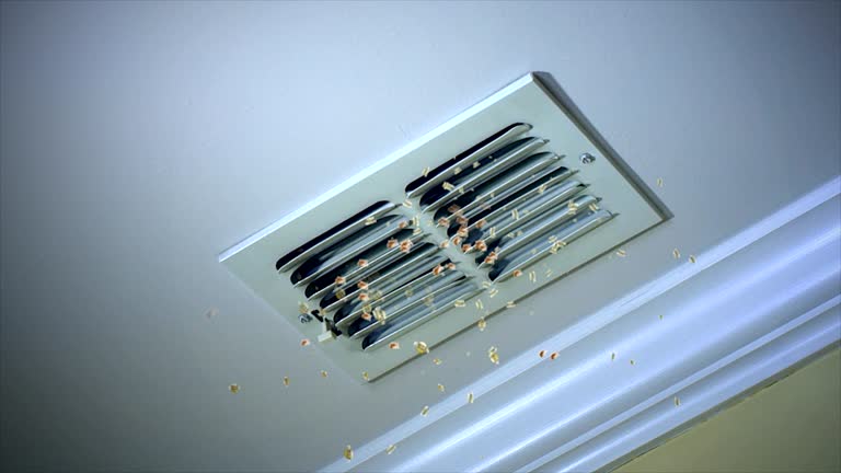 Best Ventilation Cleaning Services  in Oak Ridge North, TX